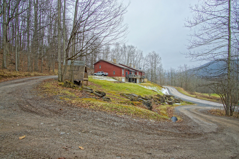 Primary image