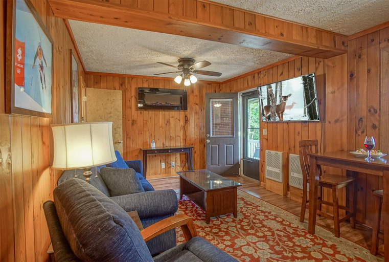 Living area 5, Stemwinder 6B 1 Bedroom, 1 Full Bath, Slope Side, Pocahontas