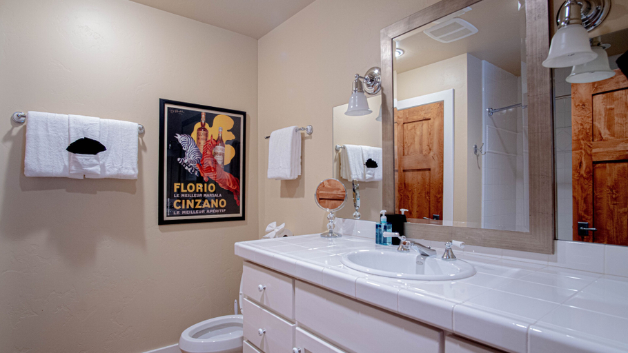 Bathroom 4, Cozy Ketchum Retreat - Pet Friendly!, Blaine