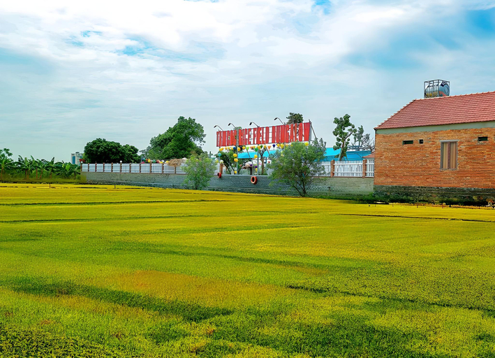 Others 5, Tam Coc Ninh Binh bungalow, Hoa Lư