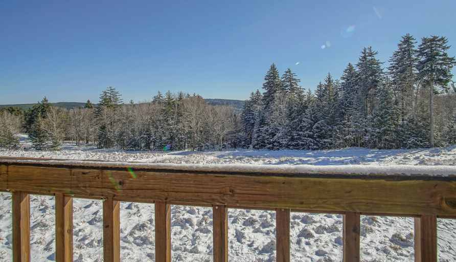 View from room, Powderidge-34: Slope Side, 2 Br Townhome, Pocahontas