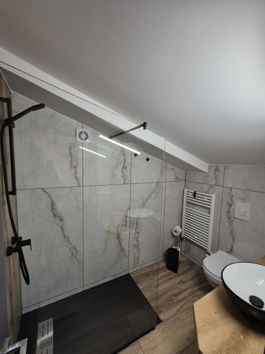 Bathroom 4, Gray River Resort, Voineasa