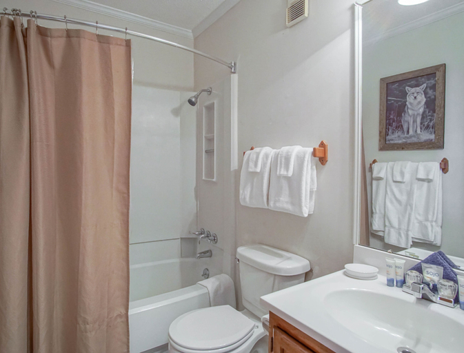 Bathroom 2, Summit 304b 3 Bedrooms 2 Full Baths, Pocahontas