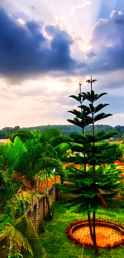 Others 3, Cloud9Villa Yelagiri, Vellore