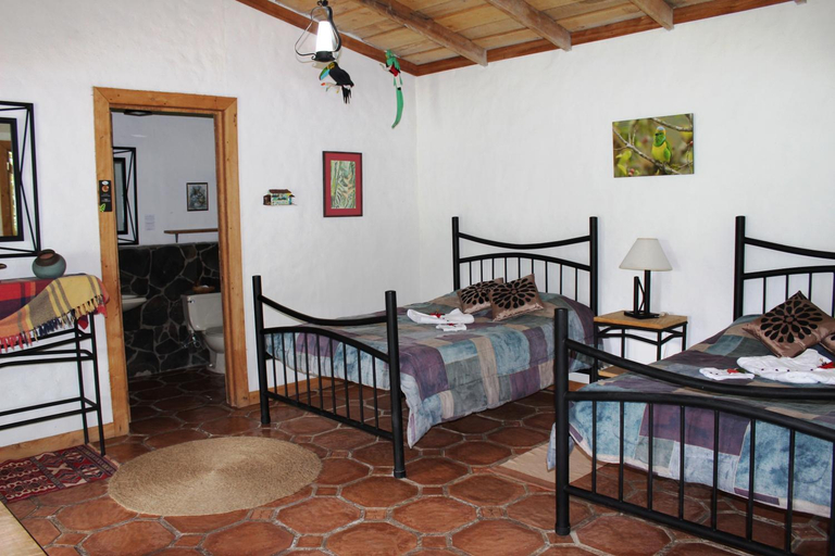 Bedroom, Bosque de Paz Reserva Biologica, Alfaro Ruiz