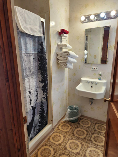 Bathroom 3, Big Sky Motel, Teton