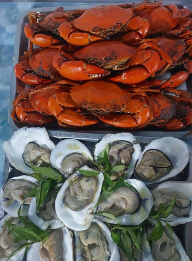Food & Drinks 3, Homestay Hai Nam Đat Mui, Ngọc Hiển