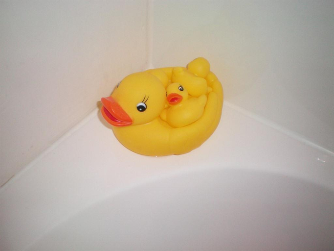 Bathroom, Eastgate Apartments, Highland