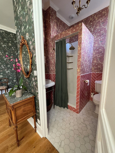 Room 3, House of Mailly, Vienne