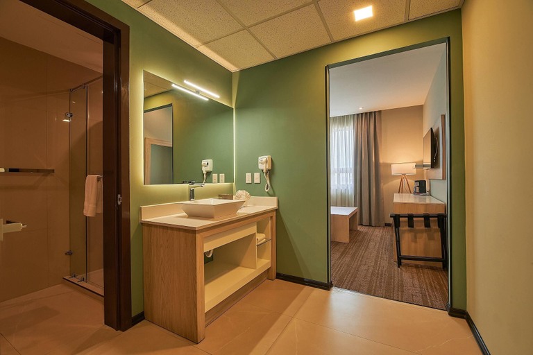Bathroom 5, Wyndham Garden Saltillo, Saltillo