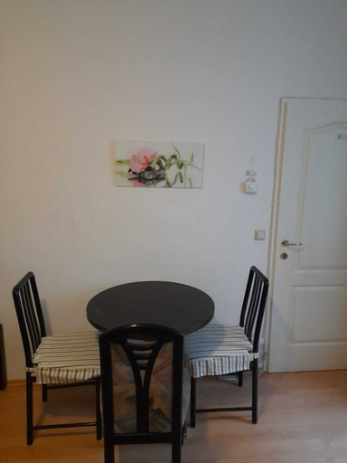 Private kitchen 4, Chic 1BR Flat in Heart of Vienna, Wien
