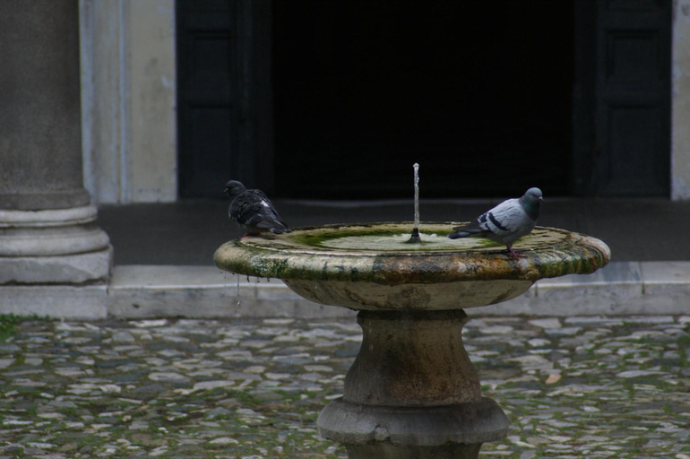 Food & Drinks 5, Bellezza Al Colosseo - B&B & Apts, Rome