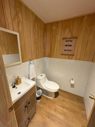 Bathroom 2, Yelcho en la Patagonia, Palena