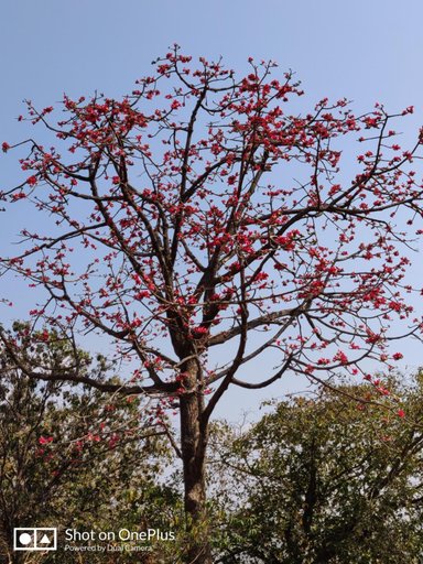 5, Shinde's Tikona Valley Farm, Pune