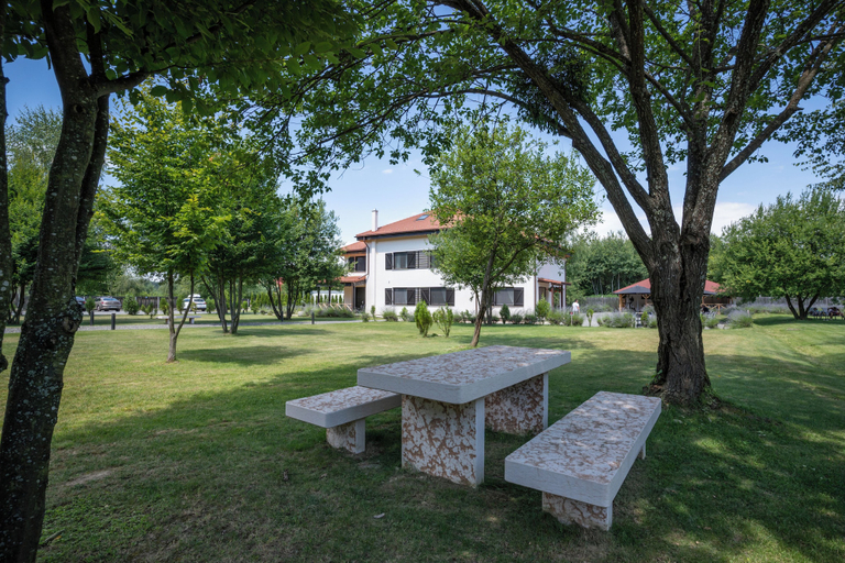 Exterior 4, Pensiunea Negoiu, Porumbacu De Jos