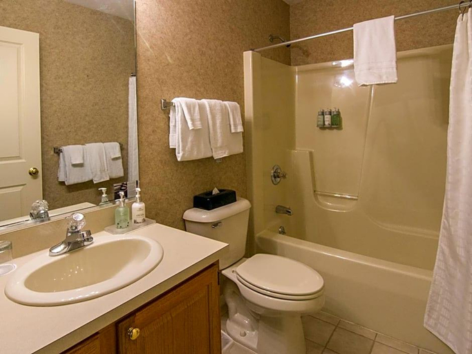 Bathroom 5, Crystal Mountain, Benzie
