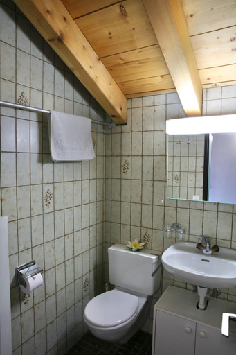 Bathroom 2, Monte Rosa Apartments Tasch, Visp