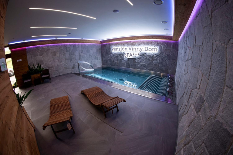 Sport & Beauty 2, Wellness Penzion Vinny Dom, Trebišov