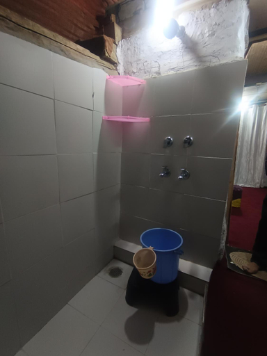 Bathroom 1, Organic Stays, Kullu