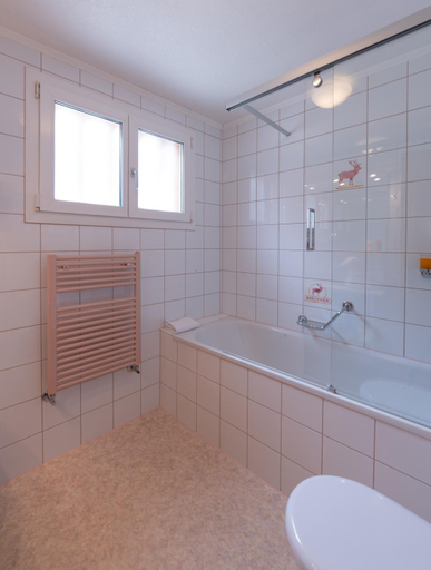 Bathroom 4, Hotel Hirschen - Grindelwald, Interlaken