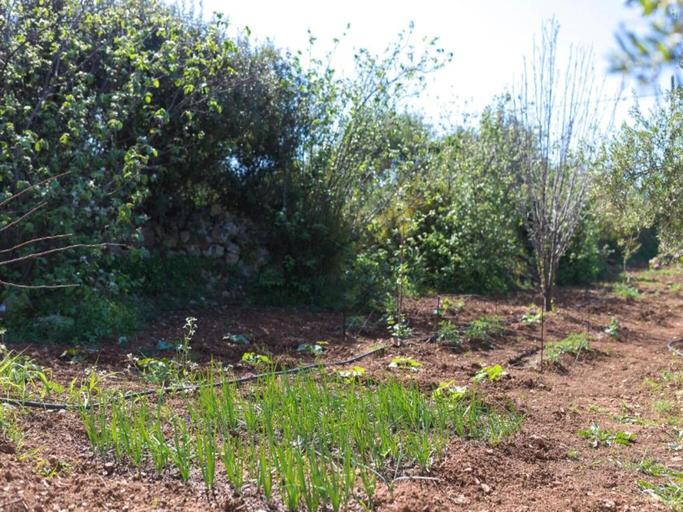 Others 5, Villa in Prines with Private Pool, Crete