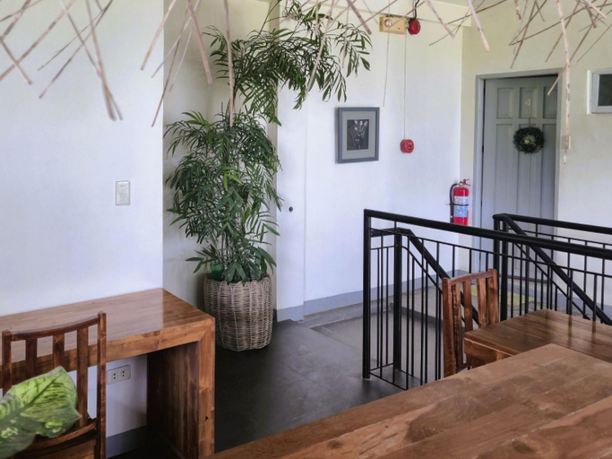 Others 4, Green Turtle Backpackers Guesthouse, Puerto Princesa, Puerto Princesa City