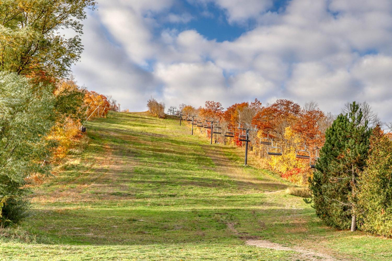 Others 5, 3 Bedroom Home | Steps to Blue Mtn Village, Grey