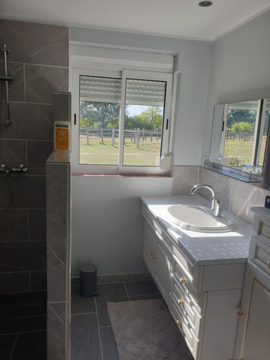 Bathroom, Chambre d'hote de l'elevage du Lattay, Maine-et-Loire