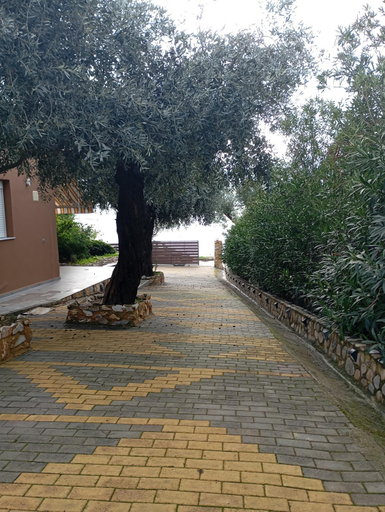 Others 5, Διπλα στο κυμα -Βeside the wave, East Macedonia and Thrace