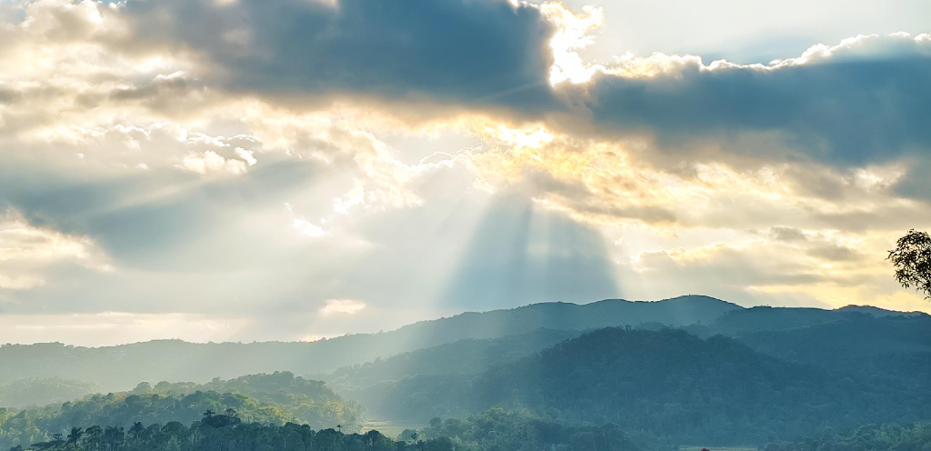 View 4, Astralis Resort Coorg, Kodagu