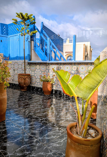 Others 3, 4 bed boutique riad, 4 floors all to yourself, Atlantic Ocean terrace, Essaouira