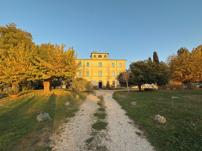Primary image