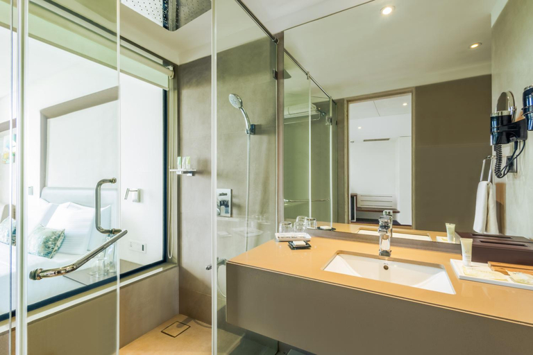Bathroom 5, Sayaji Vadodara, Vadodara