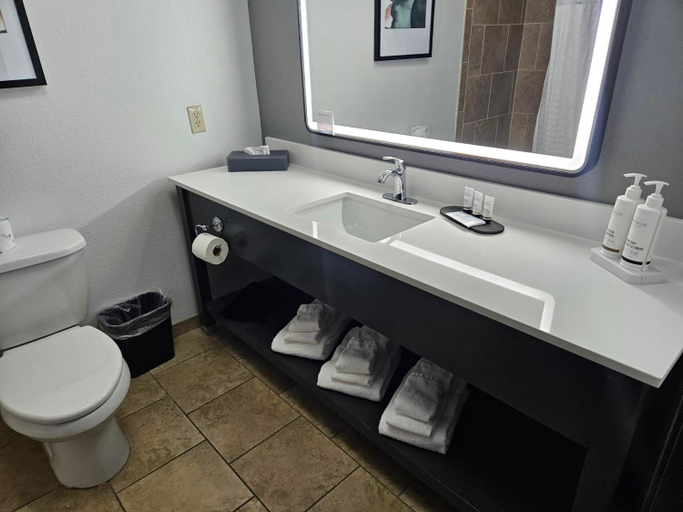 Bathroom 3, La Quinta Inn & Suites by Wyndham Minot, Ward