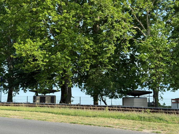 Others 4, Kertbol a Balatonra, Tapolca