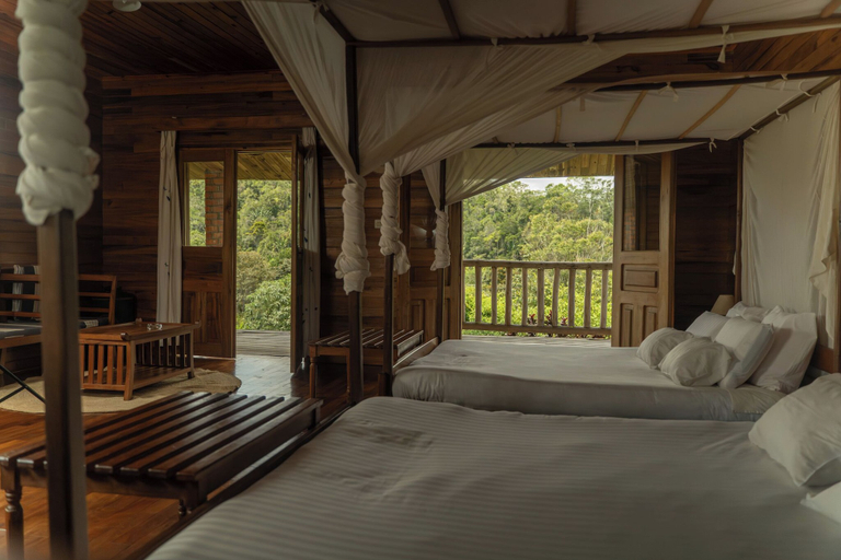 Bedroom 3, Eulophiella, Alaotra-Mangoro