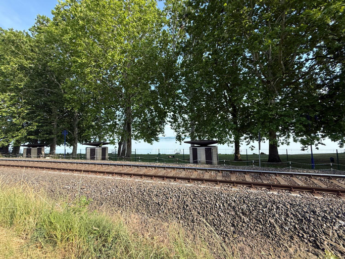 Others 5, Kertbol a Balatonra, Tapolca