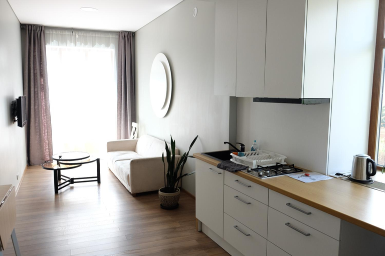 Others 4, Apartments in Kaunas, Kauno
