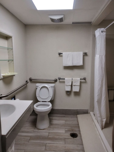 Bathroom 3, Quality Inn Perrysburg - Toledo South, Wood