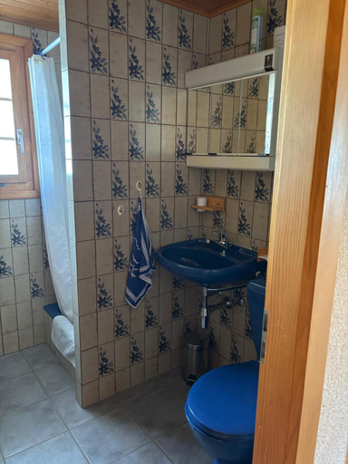 Bathroom 3, Chalet familial Rose de Noel, Aigle