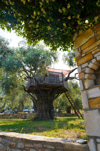 Exterior & Views 1, Ipsario Garden Hotel, East Macedonia and Thrace