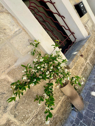 Others 3, Maison de village renovee !, Gard