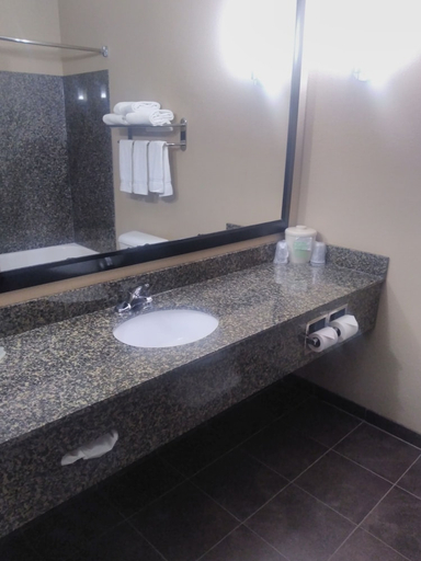 Bathroom 4, Pike Inn Le Roy - Bloomington Southeast Area, McLean