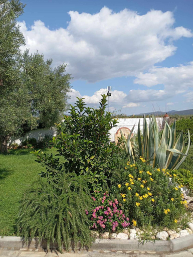3, Elia by the sea, Central Macedonia