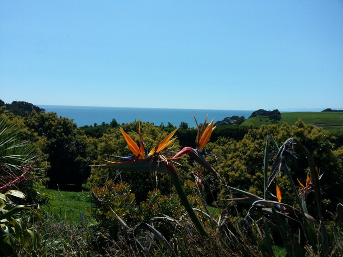 Others 3, Ridgehaven Accommodation, Opotiki