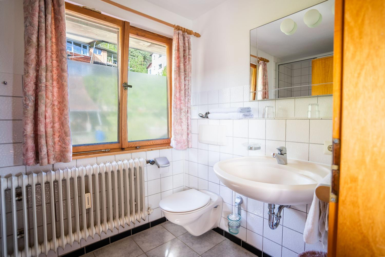 Bathroom 5, Zum Torkelhaus, Bodenseekreis