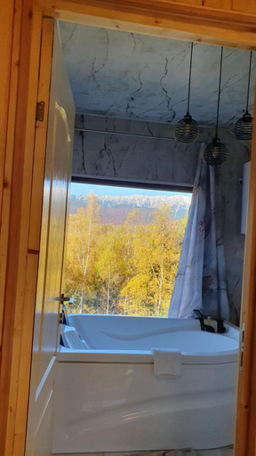 Bathroom 4, Cabana doi mesteceni, Moieciu De Jos