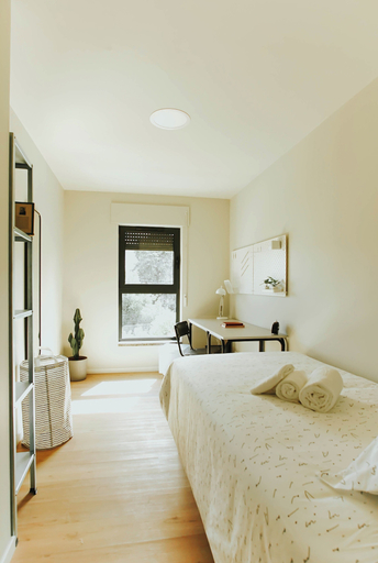 Room 5, Micampus Braga, Braga