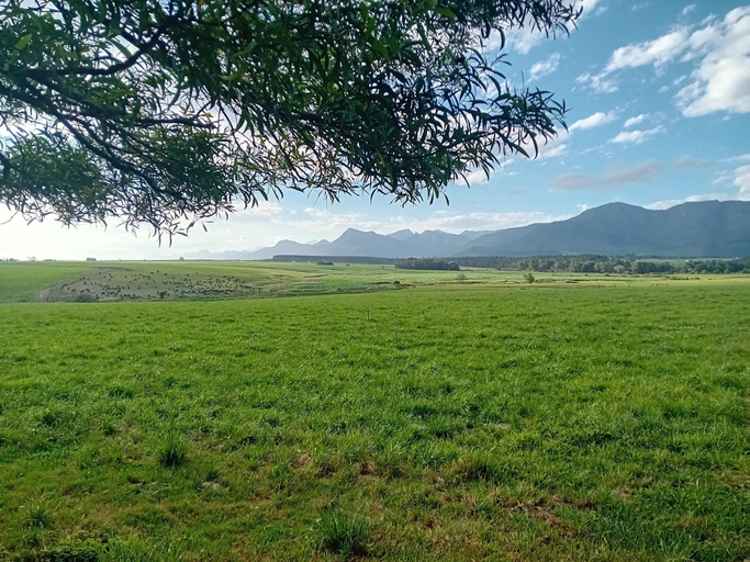 Exterior 5, Tannenhof Guest Farm, Cacadu