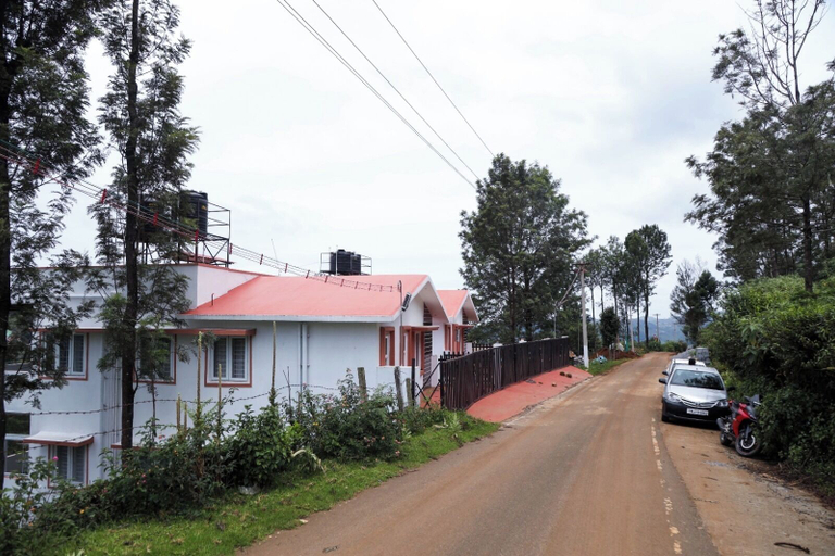 Primary image